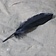 Goose feather black, 15-21 cm - Celtic Webmerchant