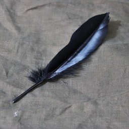 noir plume d'oie, 15-21 cm - Celtic Webmerchant