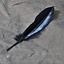 Goose feather black, 15-21 cm - Celtic Webmerchant