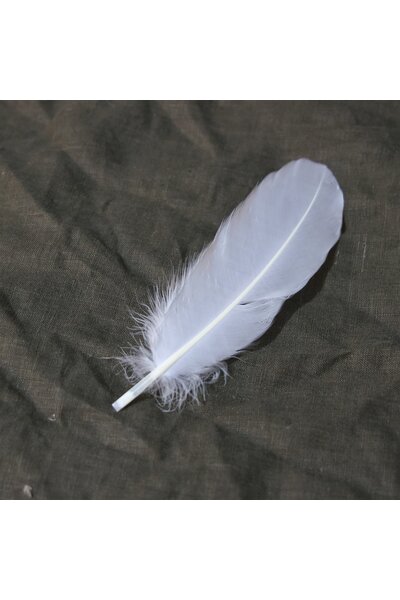 Goose feather white, 15-21 cm - Celtic Webmerchant