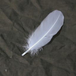 Goose feather white, 15-21 cm - Celtic Webmerchant