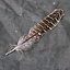 Pheasant feather, 10-18 cm - Celtic Webmerchant