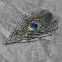 pluma Peacock, 20 cm - Celtic Webmerchant