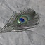 pluma Peacock, 20 cm - Celtic Webmerchant