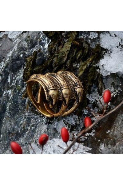 Germański epoki żelaza pierścień Segerstad, brąz - Celtic Webmerchant
