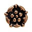 botones de finales de la Edad Media con la rosa, bronce, conjunto de 5 piezas - Celtic Webmerchant
