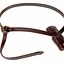 Lyxig Viking svärd bälte, brun - Celtic Webmerchant