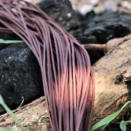 cordón de cuero, un conjunto de 10 marrón - Celtic Webmerchant