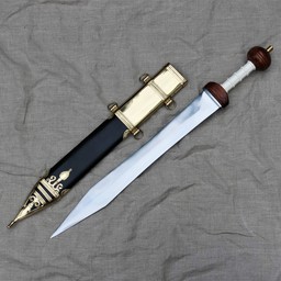 Gladius Mainz Pompei - Celtic Webmerchant