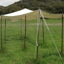 tentluifel - Celtic Webmerchant