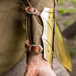 Armschienen Illumine - Celtic Webmerchant