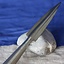 Viking spearhead Hengist - Celtic Webmerchant