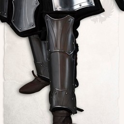 Armure cuir GN brigandine Fafnir bronzé complet - Celtic Webmerchant