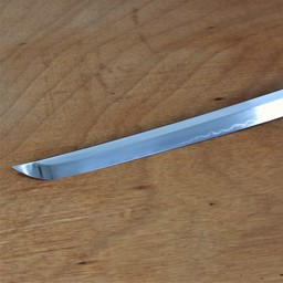 John Lee Katana Práctica - Celtic Webmerchant