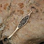 Viking nail cleaner Birka grave 660 - Celtic Webmerchant
