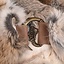 Fur collar Sandy - Celtic Webmerchant