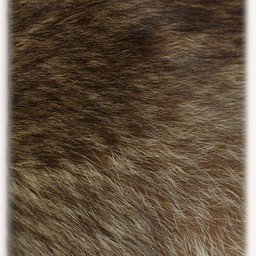 Fur collar raccoon Elmar - Celtic Webmerchant