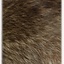 Raccoon Collar di pelliccia ELMAR - Celtic Webmerchant