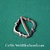 Broche Medieval Eva Reims - Celtic Webmerchant