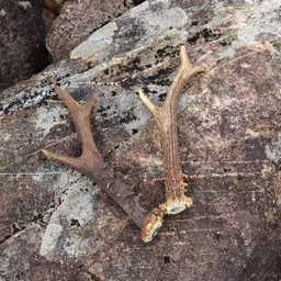 Set of 2 antlers - Celtic Webmerchant