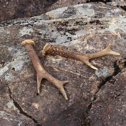 Sæt med 2 gevirer - Celtic Webmerchant