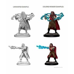 Dungeons and Dragons: Nolzur’s Marvelous Miniatures - Human Male Sorcerer - Celtic Webmerchant