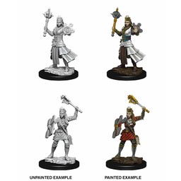 Dungeons and Dragons: Nolzur's Marvelous Miniatures - Human Cleric - Celtic Webmerchant