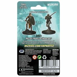 Dungeons and Dragons: Nolzur's Marvelous Miniatures - Female Human Fighter - Celtic Webmerchant