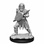 Dungeons and Dragons: Nolzur's Marvelous Miniatures - Human Male Fighter - Celtic Webmerchant