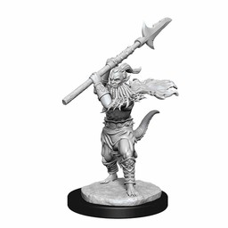 Dungeons and Dragons: Nolzur's Marvelous Miniatures - Bearded Devils - Celtic Webmerchant