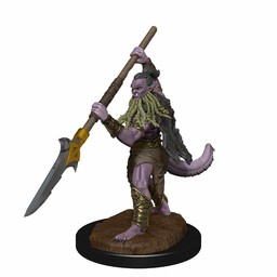 Dungeons and Dragons: Nolzur's Marvelous Miniatures - Bearded Devils - Celtic Webmerchant