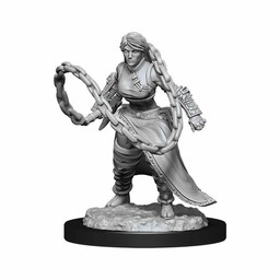 Dungeons and Dragons: Nolzur's Marvelous Minatures - Human Monk Female - Celtic Webmerchant