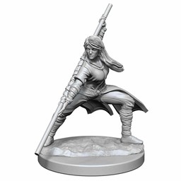 Dungeons and Dragons: Nolzur's Marvelous Minatures - Human Monk Female - Celtic Webmerchant