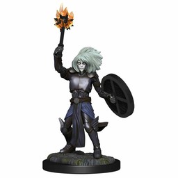 Dungeons and Dragons: Nolzur's Marvelous Minatures - Changeling Cleric Male - Celtic Webmerchant