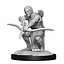 Dungeons and Dragons: Nolzur's Marvelous Minatures - Shifter Wildhunt Ranger Male - Celtic Webmerchant