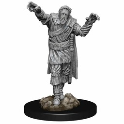 Dungeons and Dragons: Nolzur's Marvelous Miniatures - Scarecrow and Stone Cursed - Celtic Webmerchant