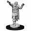 Dungeons and Dragons: Nolzur's Marvelous Miniatures - Scarecrow and Stone Cursed - Celtic Webmerchant