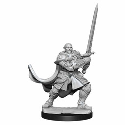 Dungeons and Dragons: Nolzur's Marvelous Miniatures - Male Half-Orc Paladin - Celtic Webmerchant