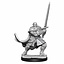 Dungeons and Dragons: Nolzur's Marvelous Miniatures - Male Half-Orc Paladin - Celtic Webmerchant