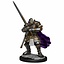 Dungeons and Dragons: Nolzur's Marvelous Miniatures - Male Half-Orc Paladin - Celtic Webmerchant