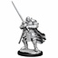 Dungeons and Dragons: Nolzur's Marvelous Miniatures - Male Half-Orc Paladin - Celtic Webmerchant