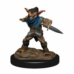 Dungeons and Dragons: Nolzur's Marvelous Miniatures - Male Goblin Rogue and Female Goblin Bard - Celtic Webmerchant