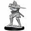 Dungeons and Dragons: Nolzur's Marvelous Miniatures - Male Hobgoblin Fighter and Female Wizard - Celtic Webmerchant