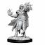 Dungeons and Dragons: Nolzur's Marvelous Miniatures - Male Hobgoblin Fighter and Female Wizard - Celtic Webmerchant
