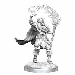 Dungeons and Dragons: Nolzur's Marvelous Miniatures - Elf Cleric Male - Celtic Webmerchant