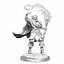 Dungeons and Dragons: Nolzur's Marvelous Miniatures - Elf Cleric Male - Celtic Webmerchant