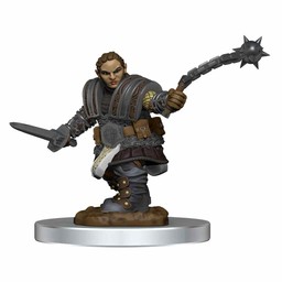 Dungeons and Dragons: Nolzur's Marvelous Miniatures - Dwarf Fighter Female - Celtic Webmerchant