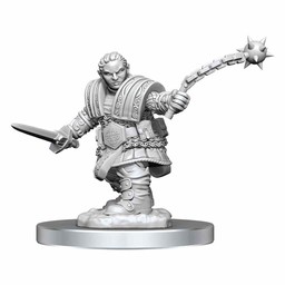 Dungeons and Dragons: Nolzur's Marvelous Miniatures - Dwarf Fighter Female - Celtic Webmerchant