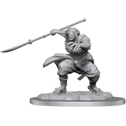 Dungeons and Dragons: Nolzur's Marvelous Miniatures - Oni Female - Celtic Webmerchant