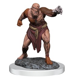 Dungeons and Dragons: Nolzur's Marvelous Miniatures - Flesh Golems - Celtic Webmerchant